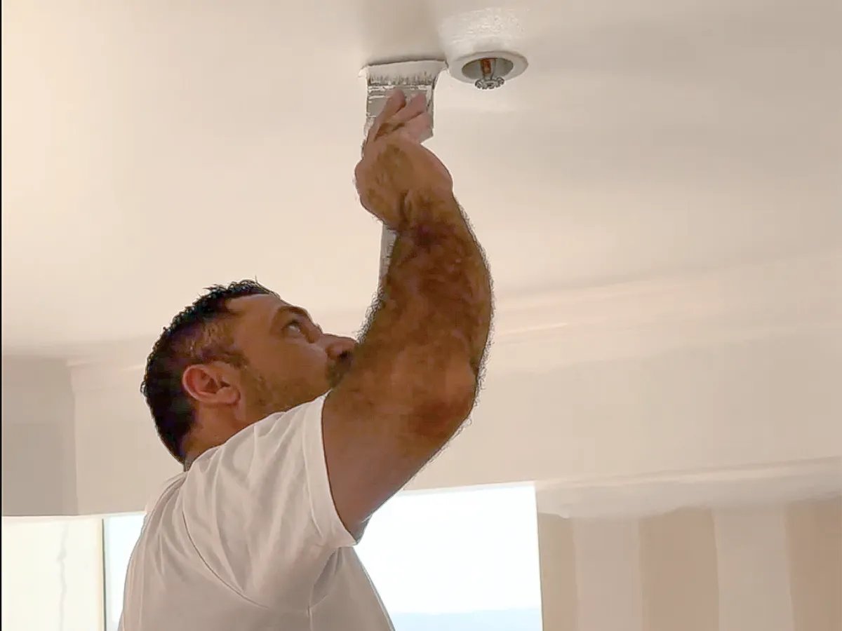 Paint Repairs & Touch-Ups
